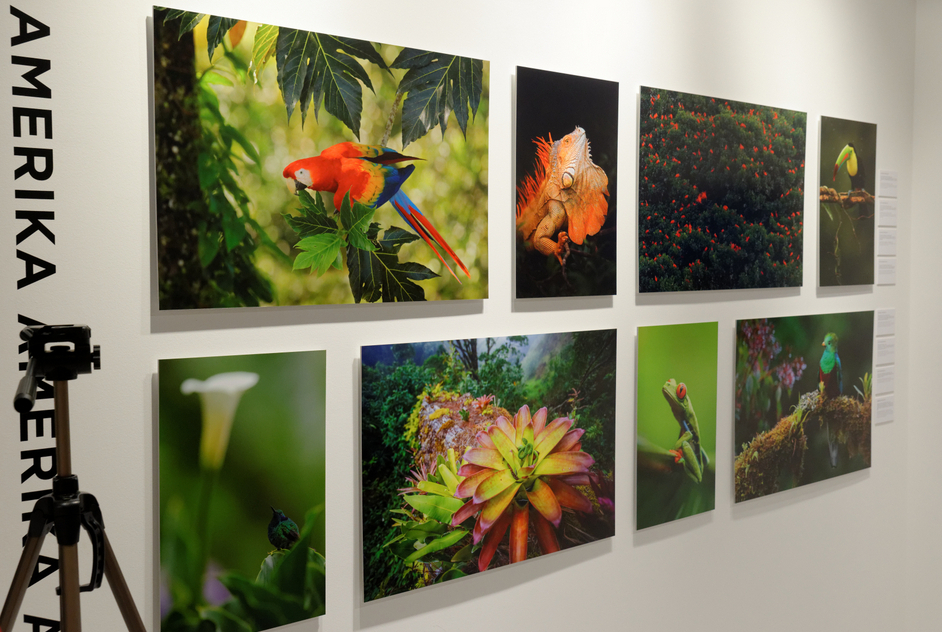 Výstava CZECH NATURE PHOTO, 3.4. - 14.5. 2017, galerie Czech Photo Centre